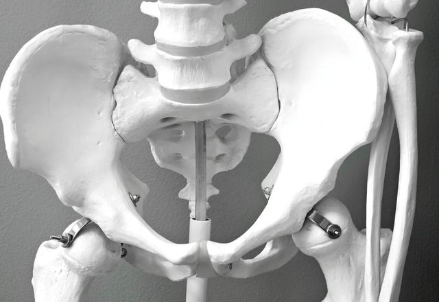 Bone & Joint Care Tips